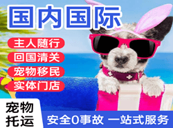 拉萨航空快递国际宠物托运 【国