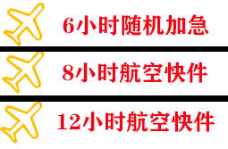 拉萨航空快递快递公司,专业空运当天件